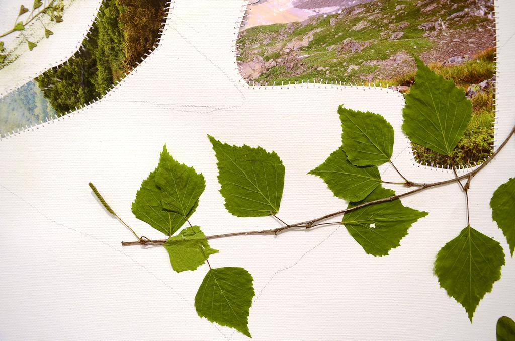 13-Whats_next-2019-herbarium_plastic_bags_wooden_frame_canvas_coal_100x130_cm.jpg