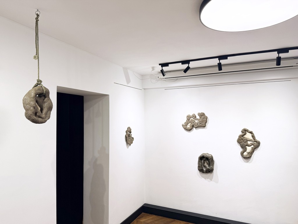 02 Maria Nalbantova Swamping 2025