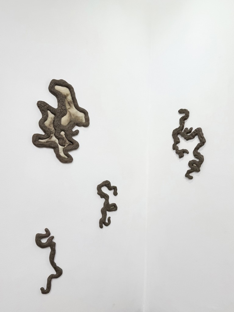 37 Maria Nalbantova Swamping 2025