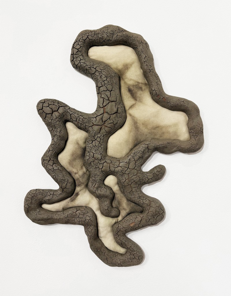 40 Maria Nalbantova Swamping 2025