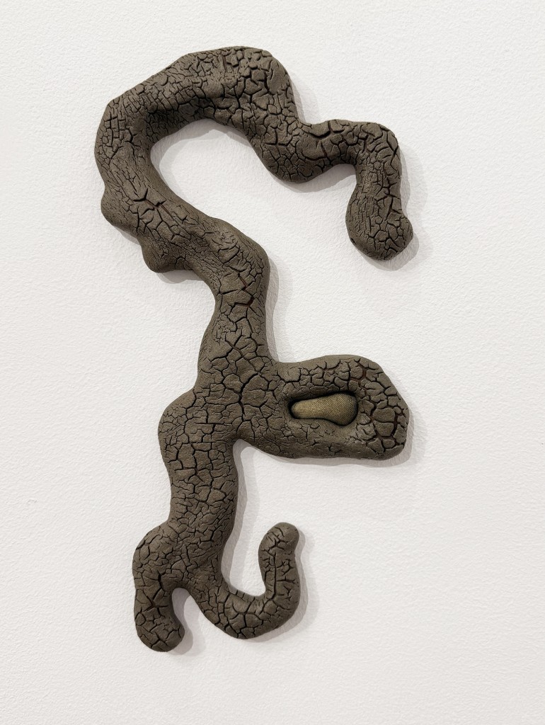 43 Maria Nalbantova Swamping 2025