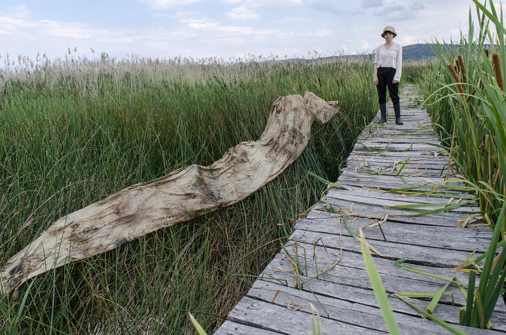 48 Dragoman Marsh Maria Nalbantova Photo Andrey Ralev