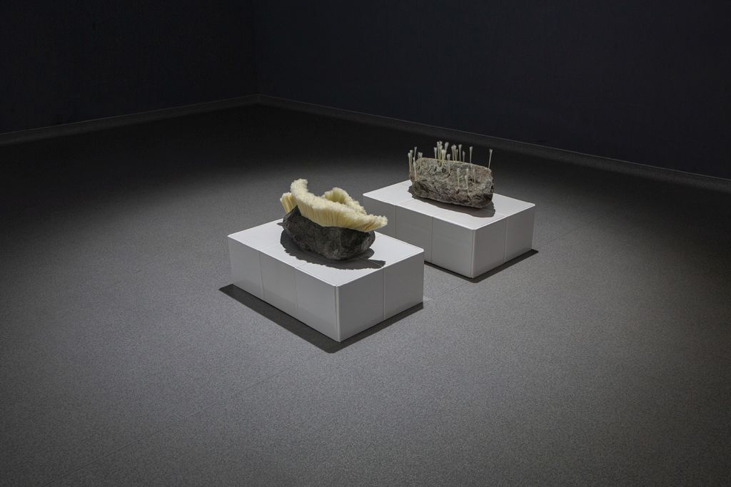 52_03_cleance_2020_Maria_Nalbantova_US_&_THEM_2021_Installation_view.jpg