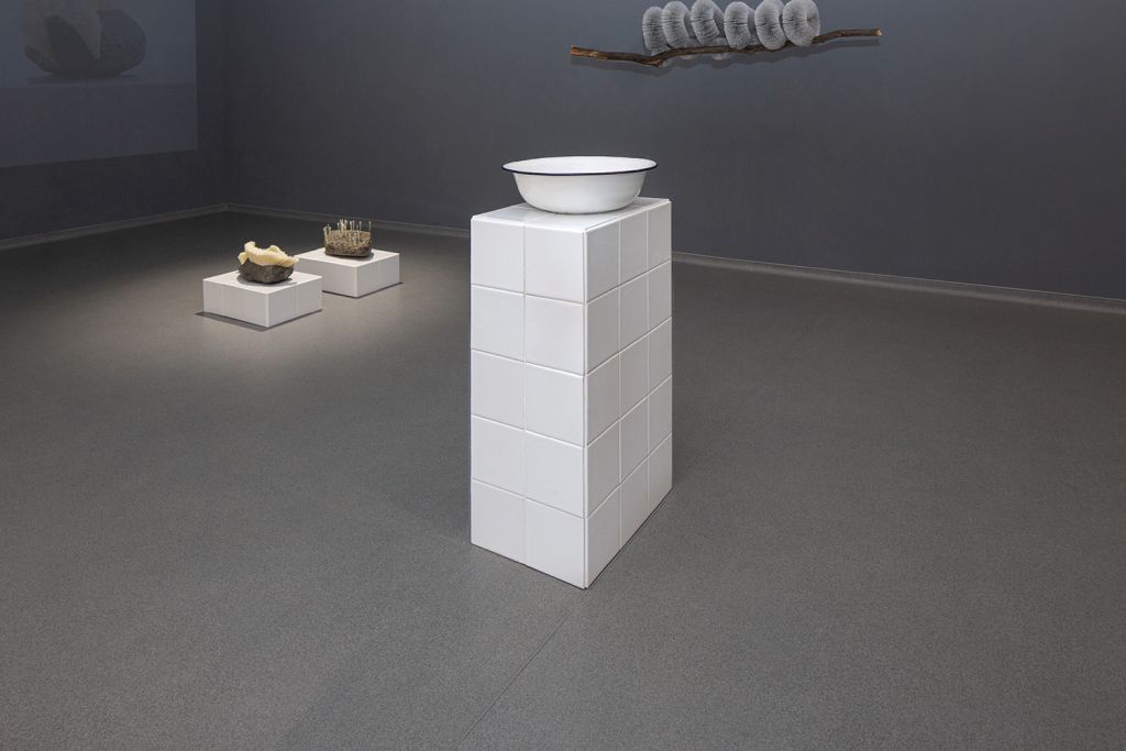 52_07_cleance_2020_Maria_Nalbantova_US_&_THEM_2021_Installation_view.jpg