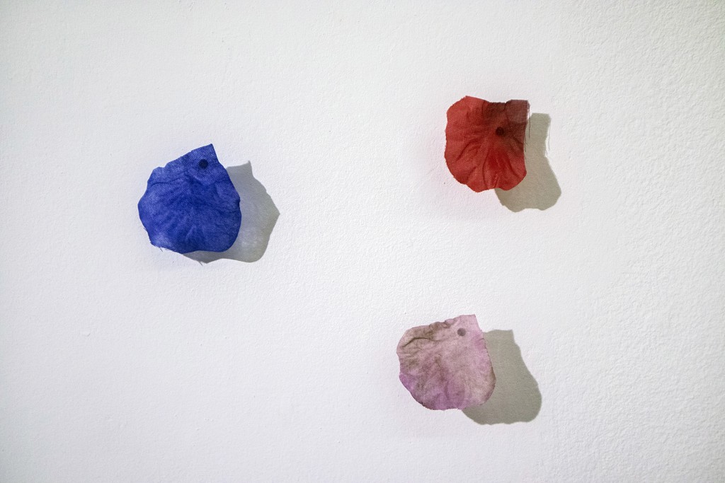 33 Landscapes per meter 2023 Maria Nalbantova Photo M N