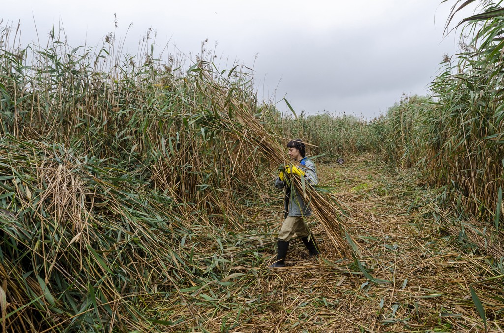 04 Maria Nalbantova Dragoman Marsh 2023 field work photo Miroslava Popova