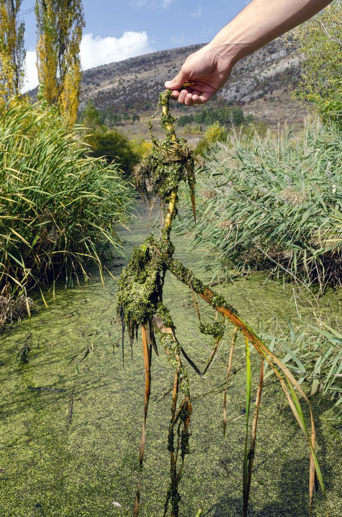 11 Maria Nalbantova Dragoman Marsh April 2023 photo Maria Nalbantova