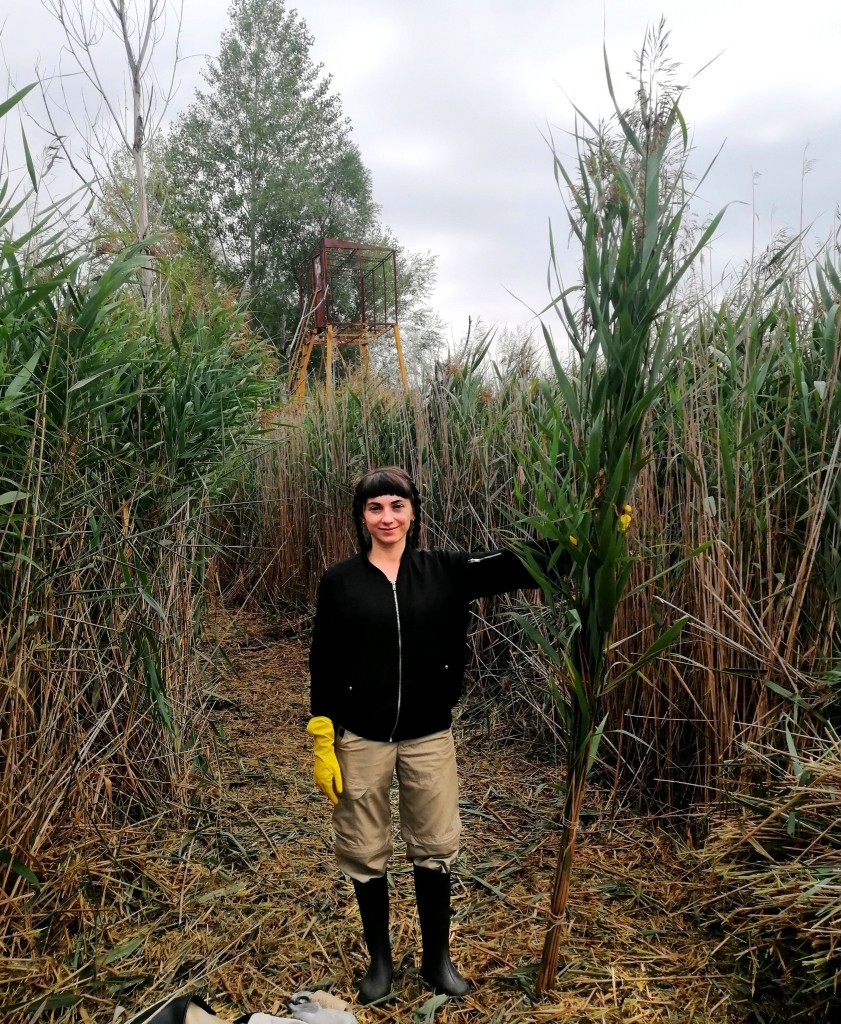 05 Maria Nalbantova Dragoman Marsh 2023 field work photo Miroslava Popova 05 Maria Nalbantova Dragoman Marsh 2023 field work photo Miroslava Popova